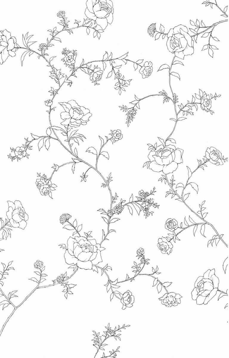 Madame Petit - Chapter 25 - Trang 9