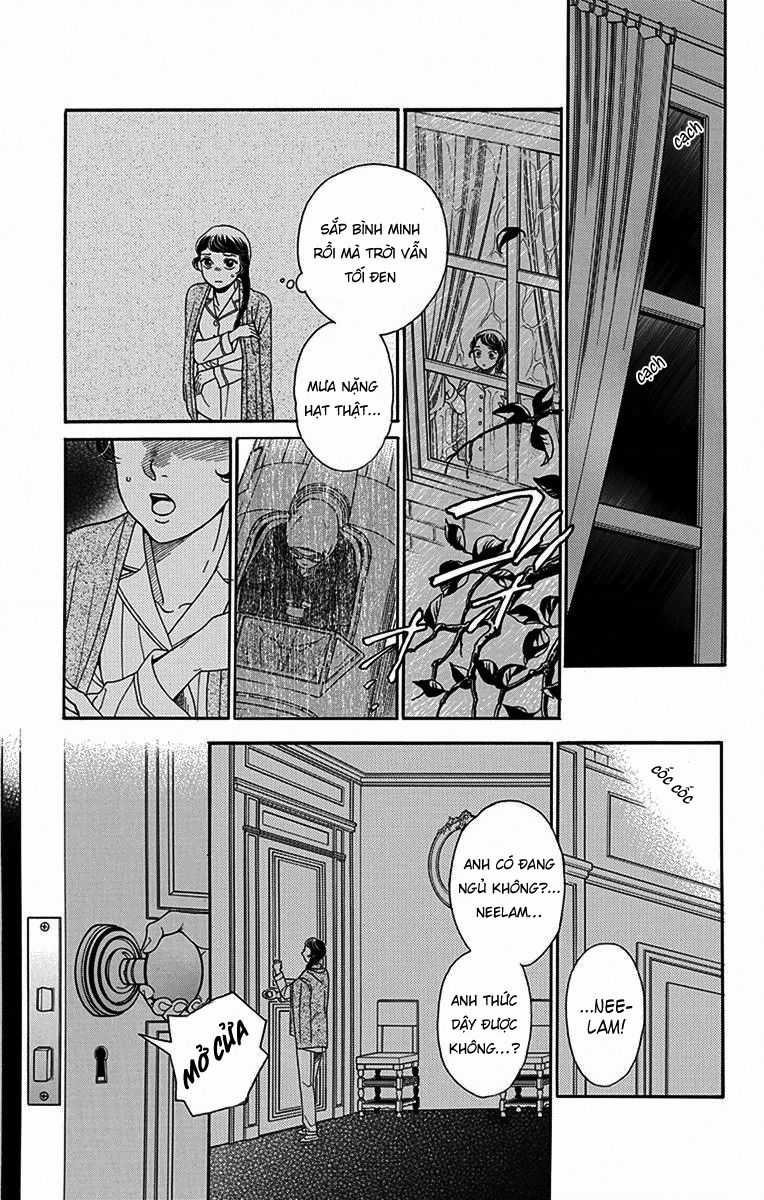 Madame Petit - Chapter 34 - Trang 8