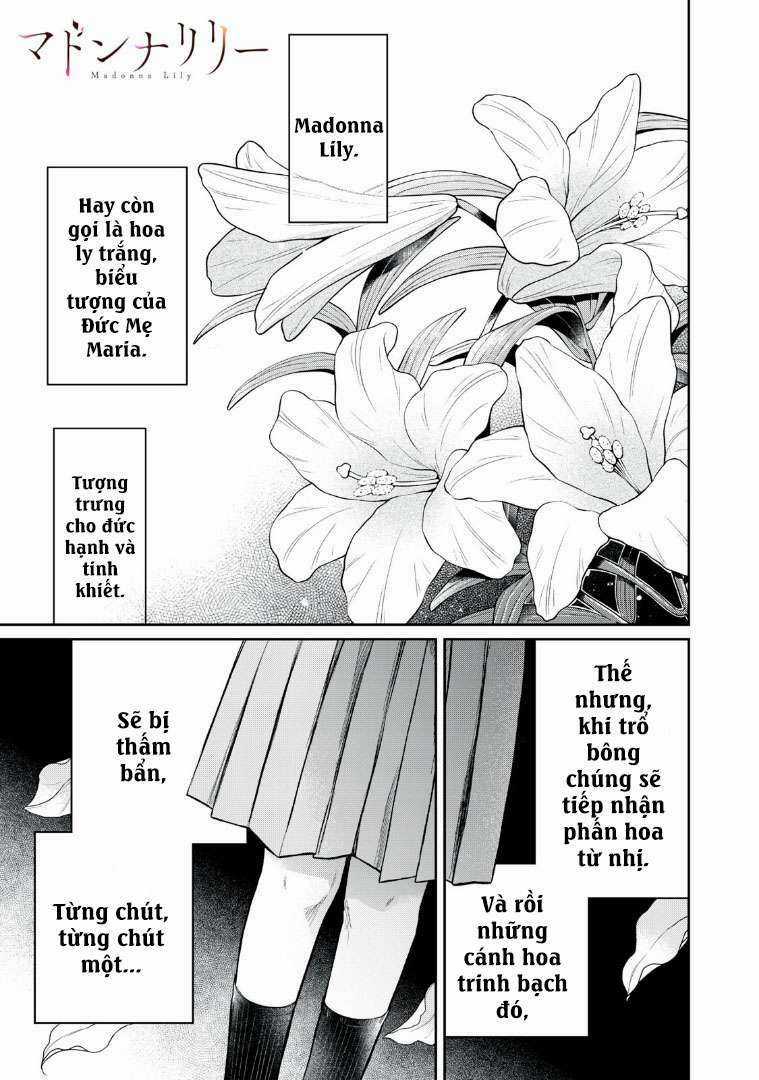 Madonna Lily - Chapter 1 - Trang 3