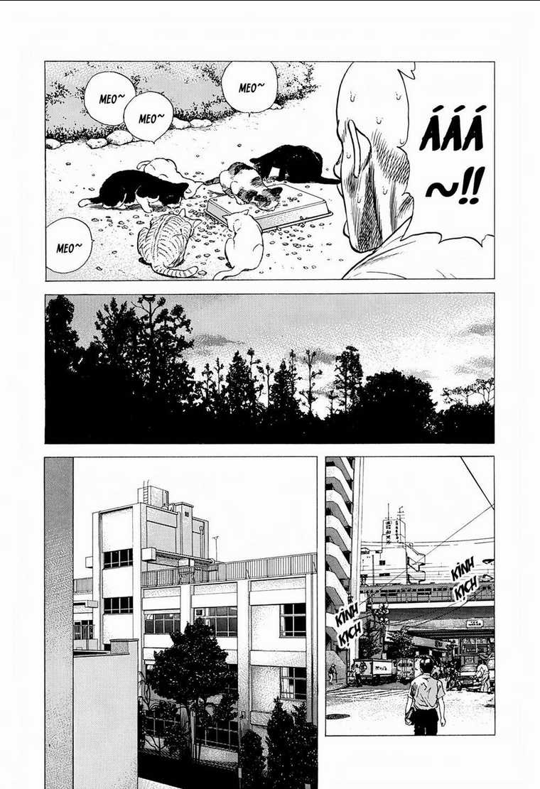 Maeda Taison Blues - Chapter 236 - Trang 16