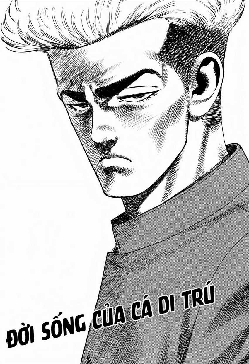Maeda Taison Blues - Chapter 261 - Trang 5