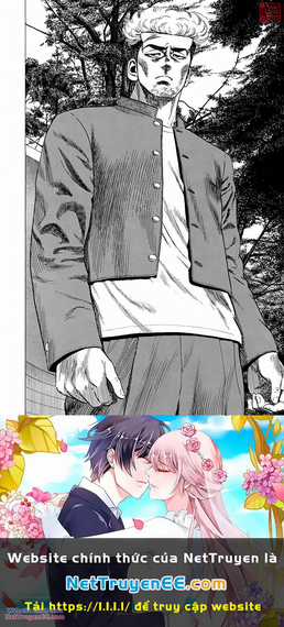 Maeda Taison Blues - Chapter 272 - Trang 19