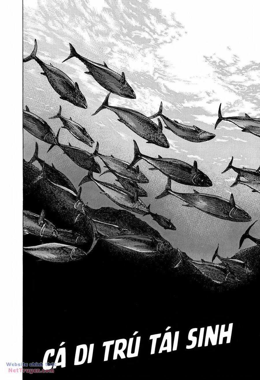 Maeda Taison Blues - Chapter 279 - Trang 2