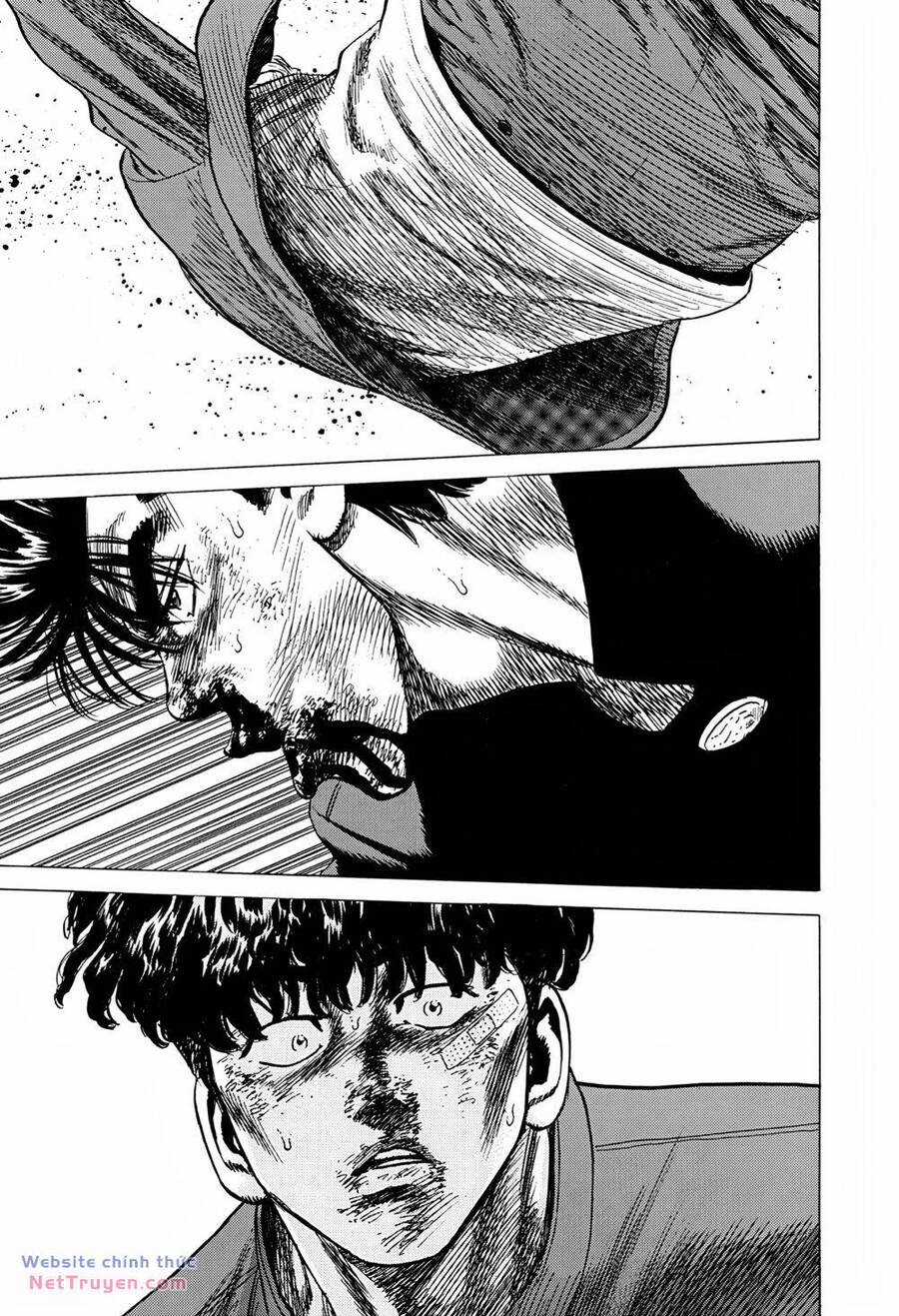 Maeda Taison Blues - Chapter 281 - Trang 15