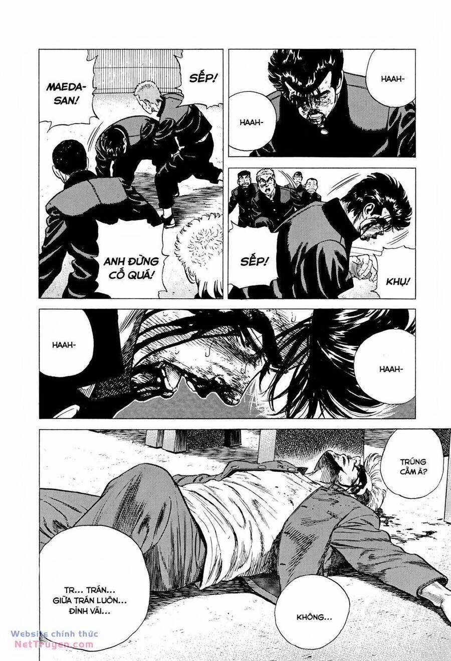 Maeda Taison Blues - Chapter 282 - Trang 4