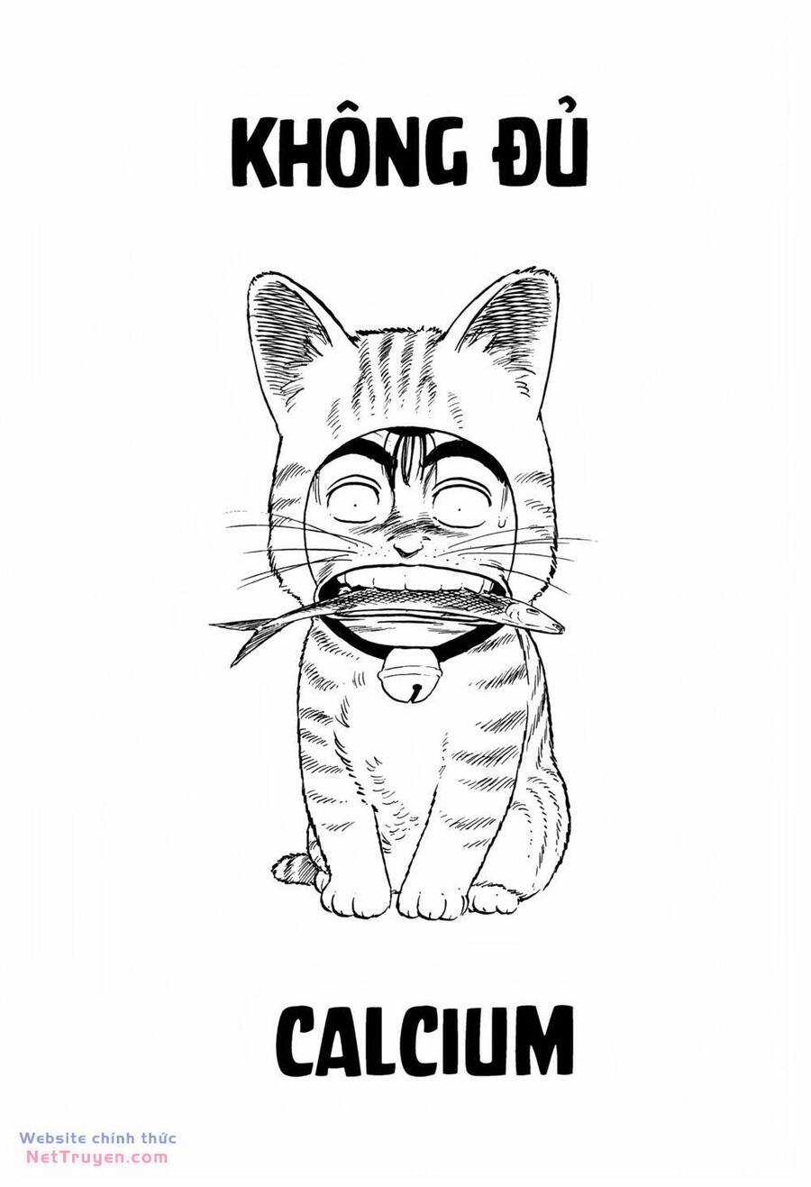 Maeda Taison Blues - Chapter 291 - Trang 2