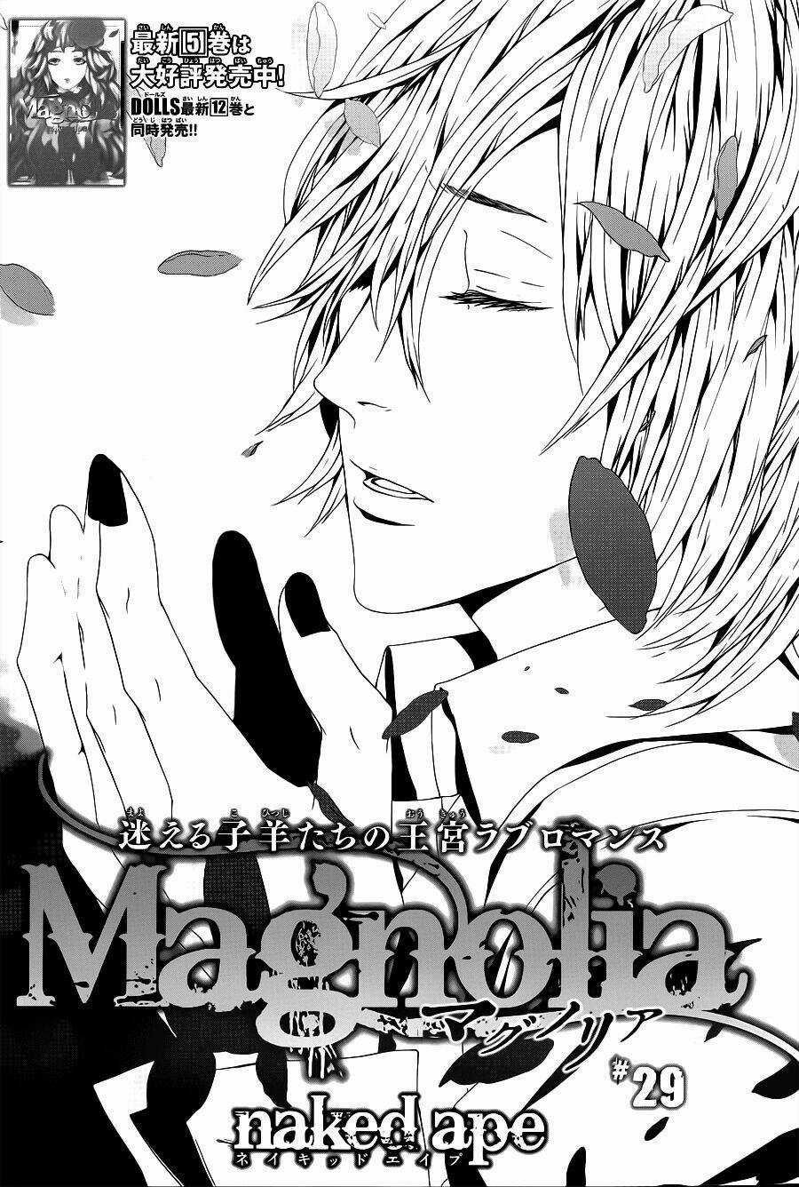 Magnolia - Chapter 29 - Trang 2