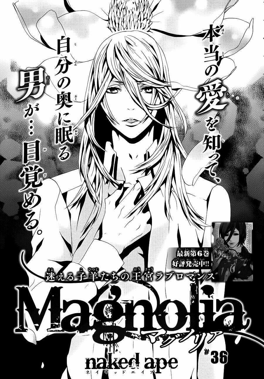 Magnolia - Chapter 36 - Trang 2