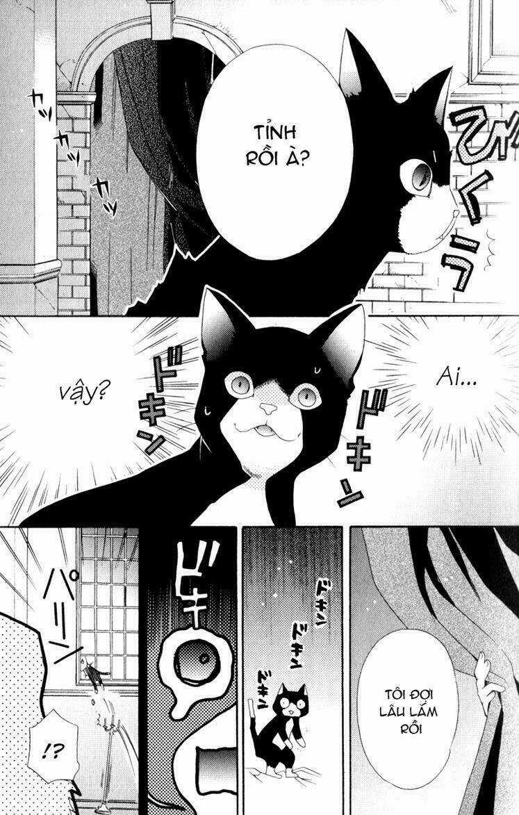 Mahoutsukai No Neko - Chapter 1 - Trang 23