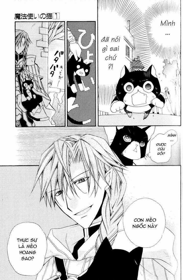Mahoutsukai No Neko - Chapter 1 - Trang 31