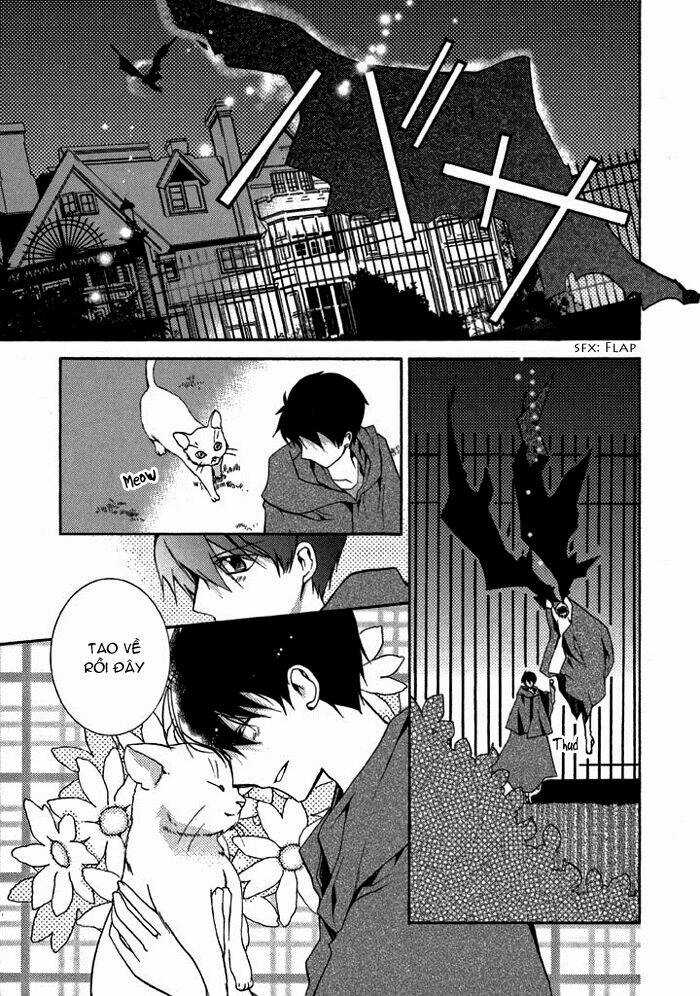 Mahoutsukai No Neko - Chapter 10 - Trang 12