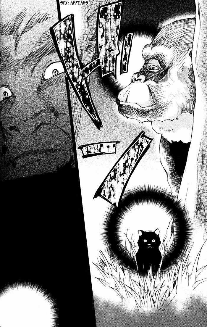 Mahoutsukai No Neko - Chapter 23 - Trang 19