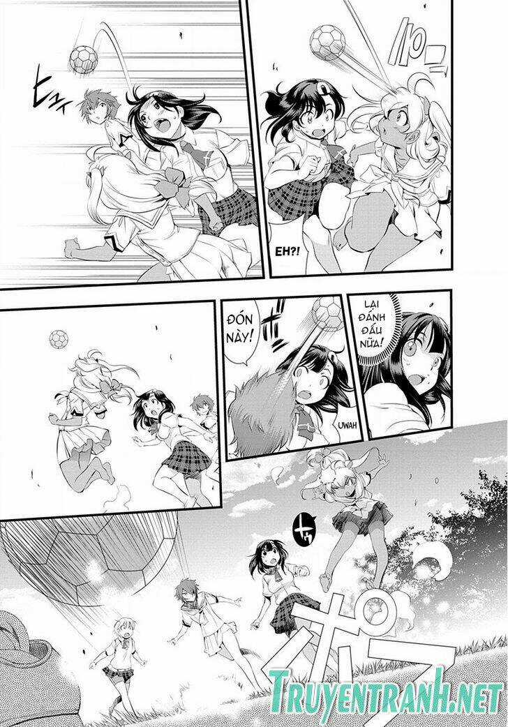 Mai Ball - Chapter 27 - Trang 15