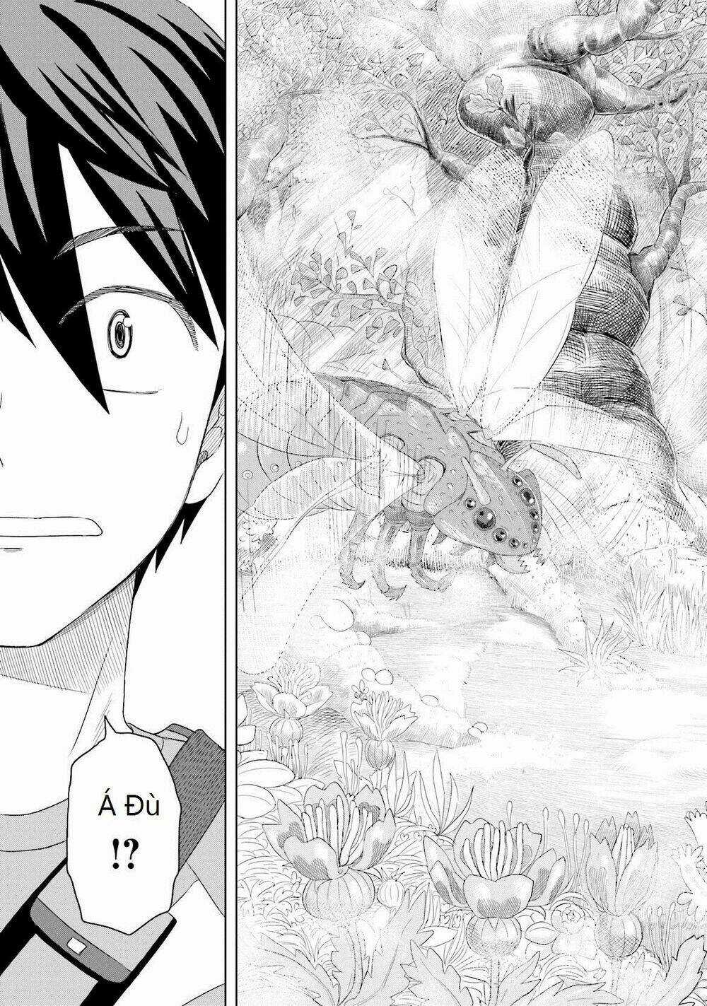 Maiden Order - Chapter 1 - Trang 21