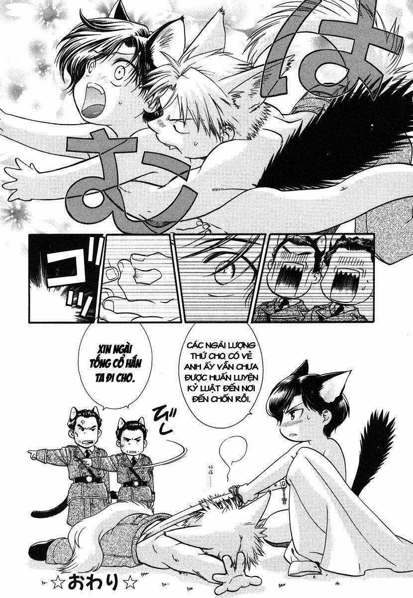 Maiden Rose-Special - Chapter 1 - Trang 6