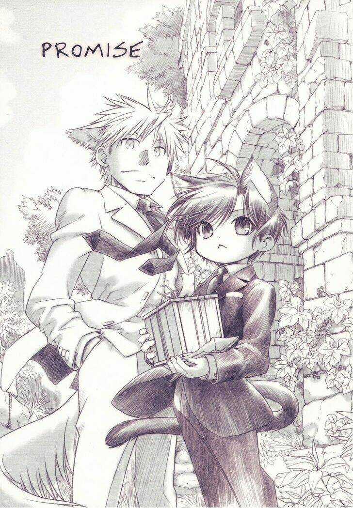 Maiden Rose-Special - Chapter 10 - Trang 2