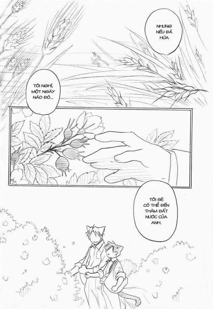 Maiden Rose-Special - Chapter 10 - Trang 18