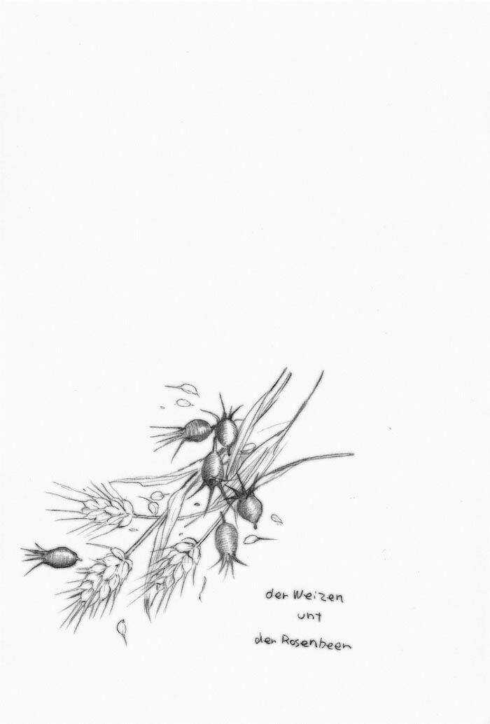 Maiden Rose-Special - Chapter 10 - Trang 20