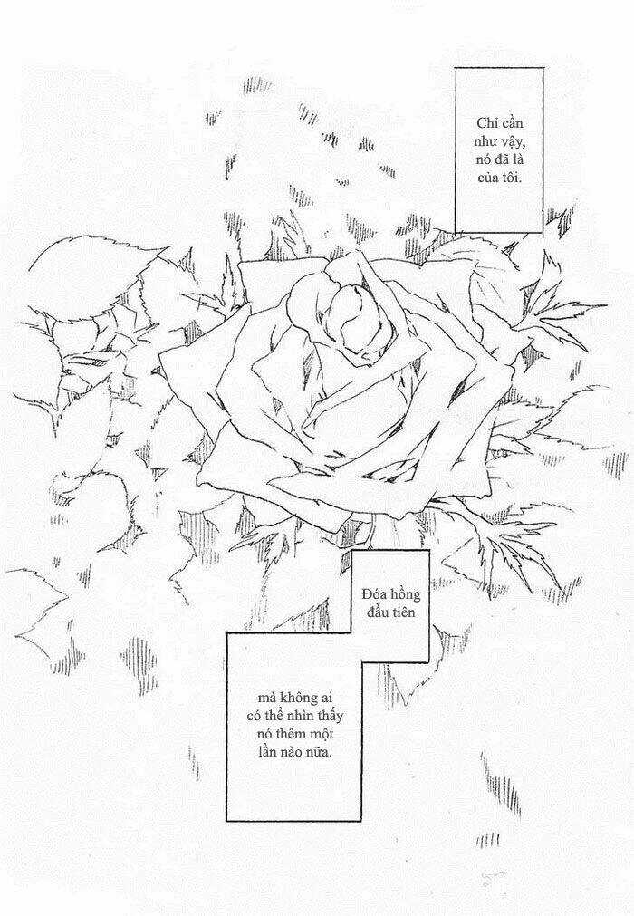 Maiden Rose-Special - Chapter 11.2 - Trang 6