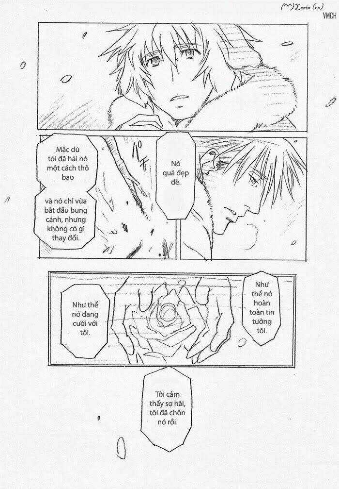 Maiden Rose-Special - Chapter 13 - Trang 12