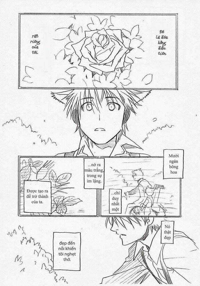 Maiden Rose-Special - Chapter 13 - Trang 4