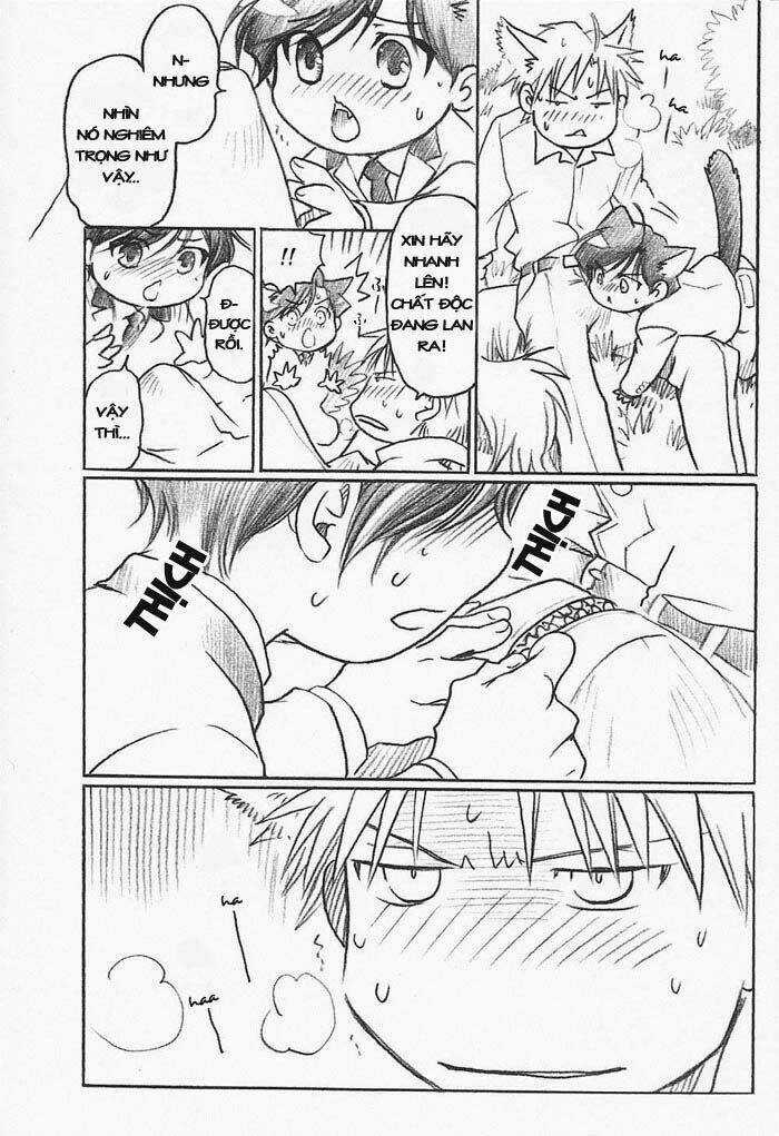 Maiden Rose-Special - Chapter 15 - Trang 11