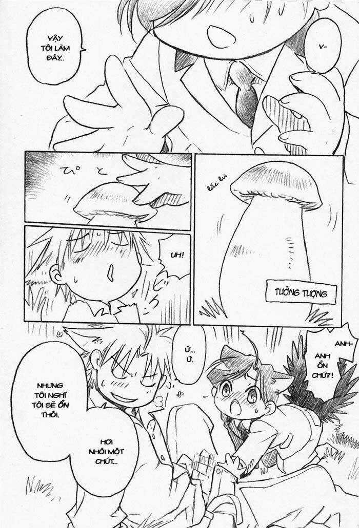 Maiden Rose-Special - Chapter 15 - Trang 15