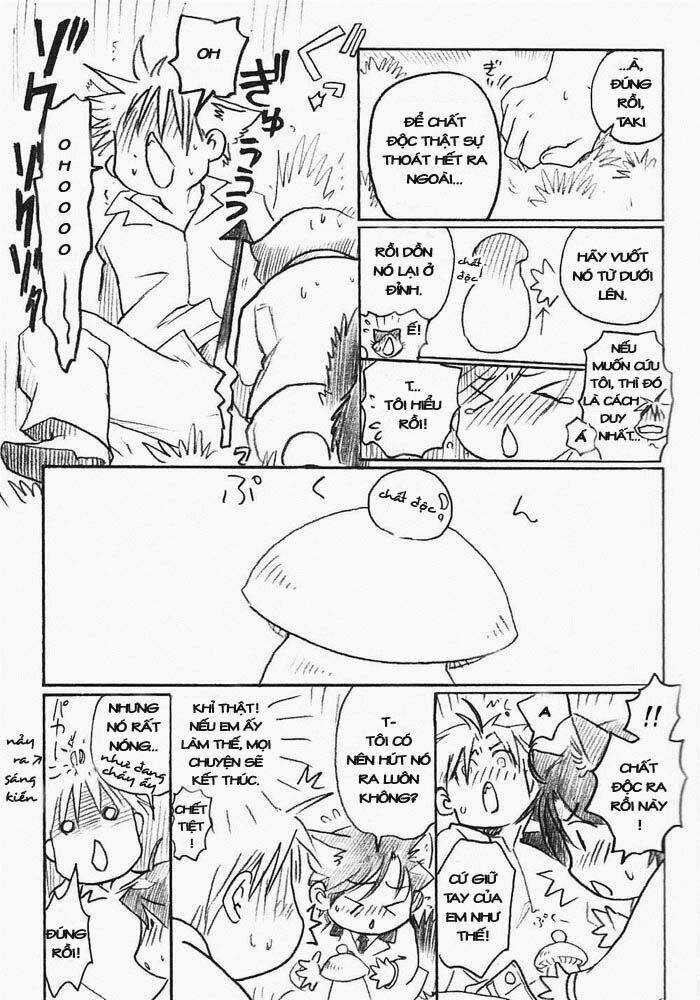 Maiden Rose-Special - Chapter 15 - Trang 16