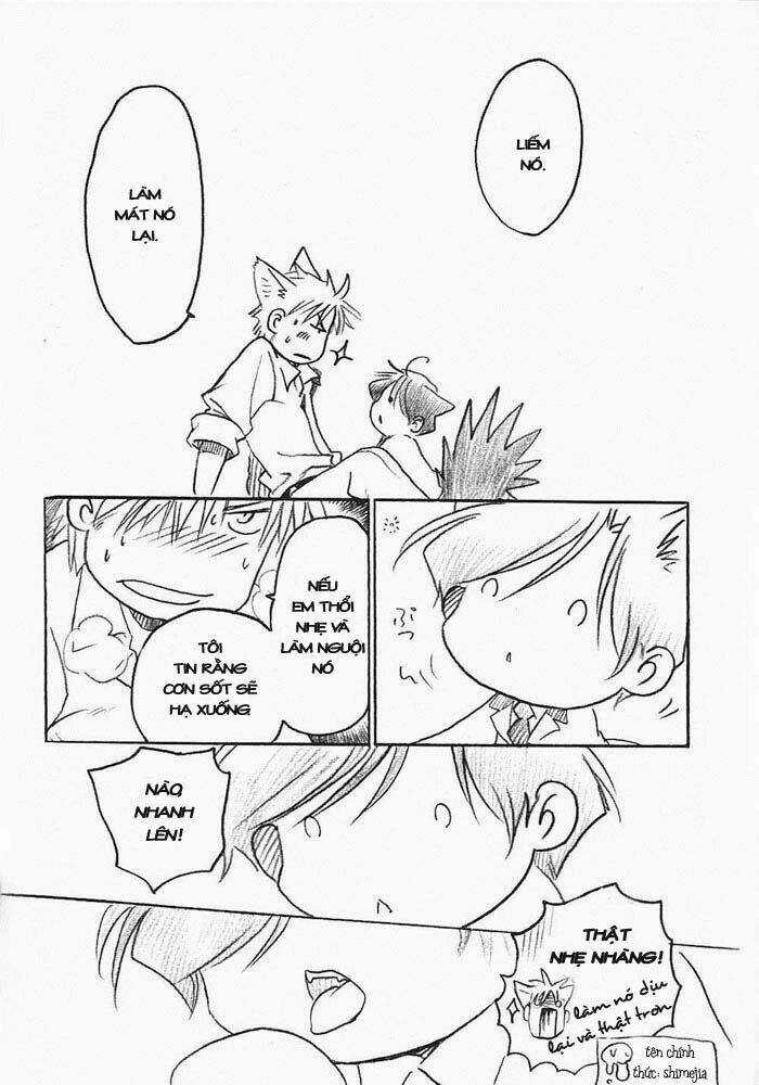 Maiden Rose-Special - Chapter 15 - Trang 17