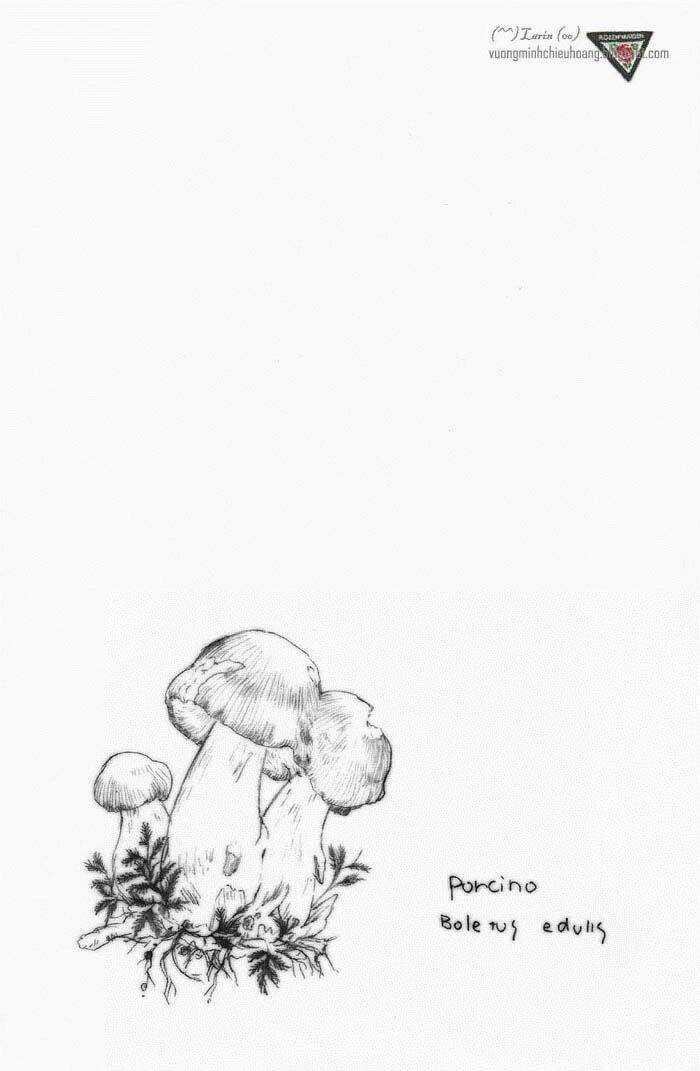 Maiden Rose-Special - Chapter 15 - Trang 20