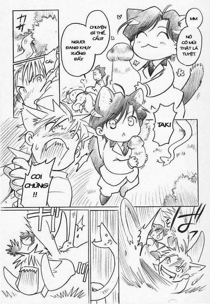 Maiden Rose-Special - Chapter 15 - Trang 8