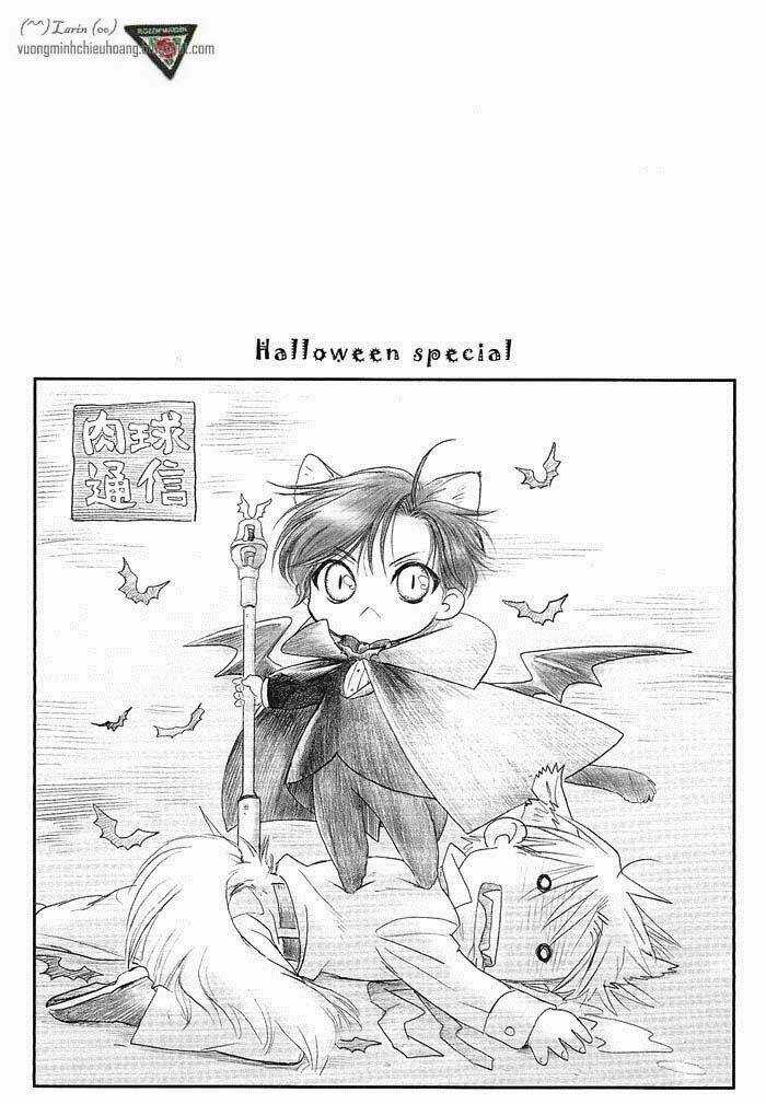 Maiden Rose-Special - Chapter 16 - Trang 19