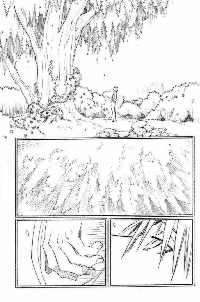 Maiden Rose-Special - Chapter 19 - Trang 11