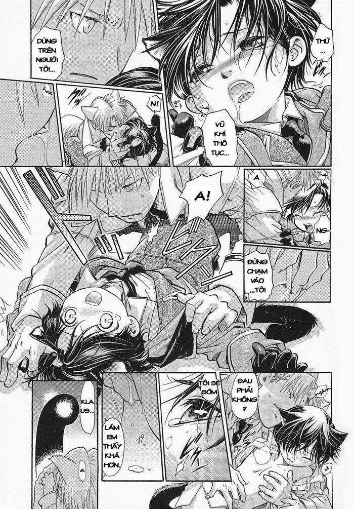 Maiden Rose-Special - Chapter 4 - Trang 12