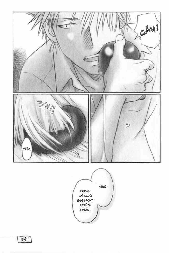 Maiden Rose-Special - Chapter 7 - Trang 9