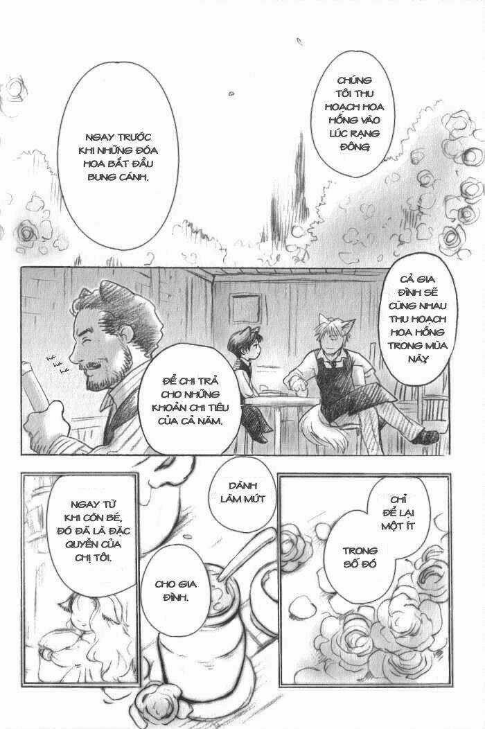 Maiden Rose-Special - Chapter 8 - Trang 10