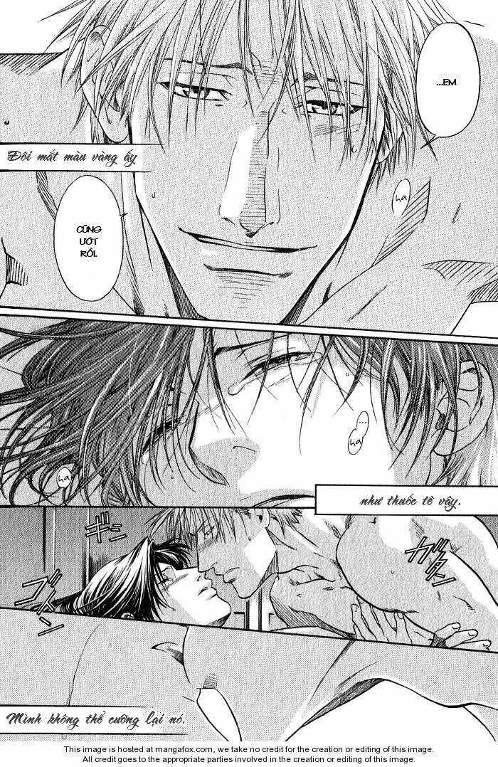 Maiden Rose - Chapter 11.5 - Trang 26