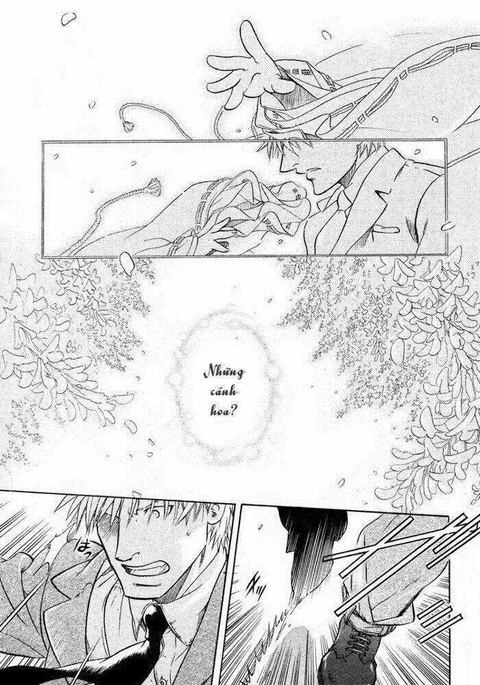 Maiden Rose - Chapter 13 - Trang 19