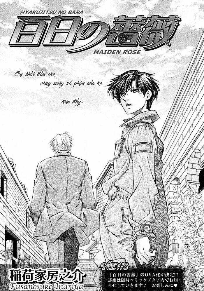 Maiden Rose - Chapter 14 - Trang 8