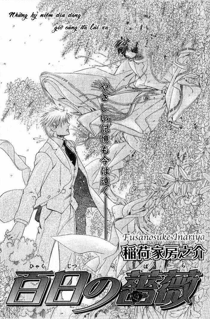 Maiden Rose - Chapter 15 - Trang 7