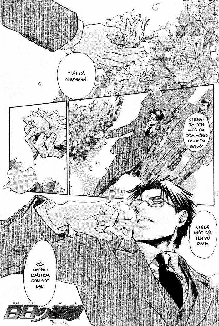 Maiden Rose - Chapter 17 - Trang 5