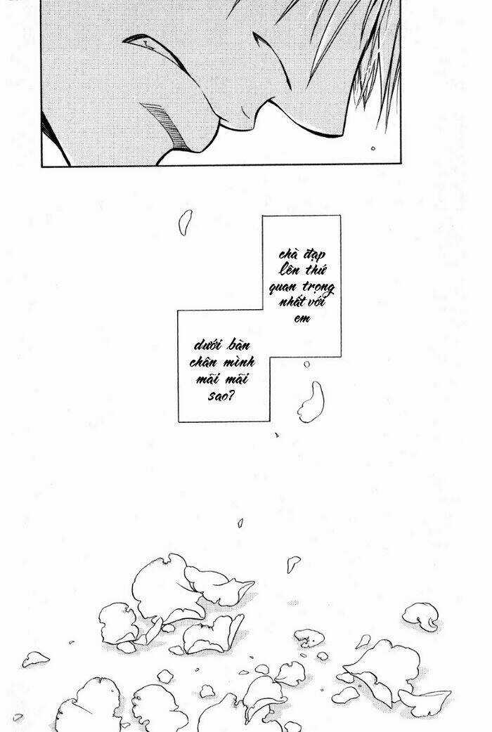 Maiden Rose - Chapter 19 - Trang 20