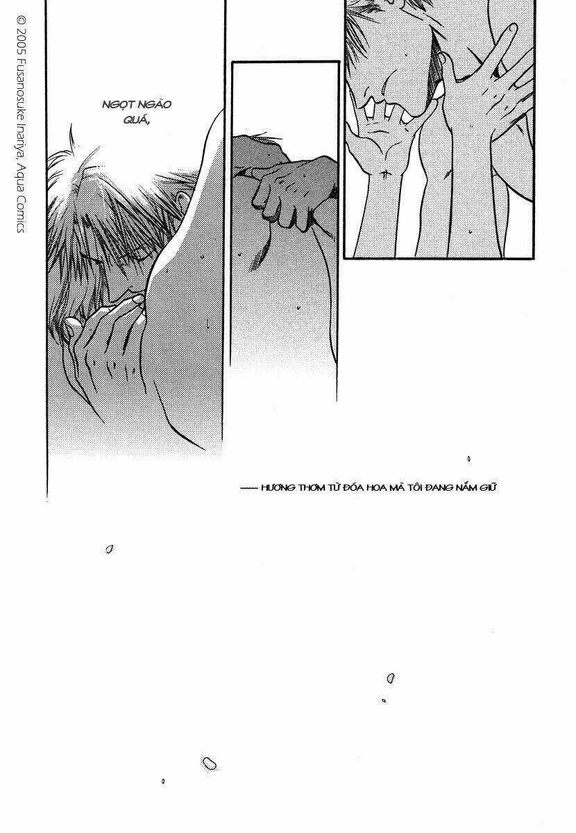 Maiden Rose - Chapter 2 - Trang 28