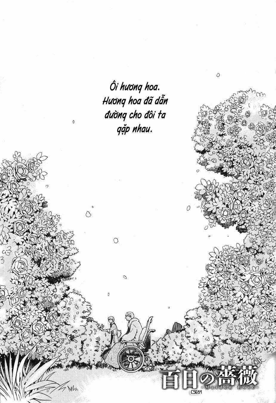 Maiden Rose - Chapter 26 - Trang 3