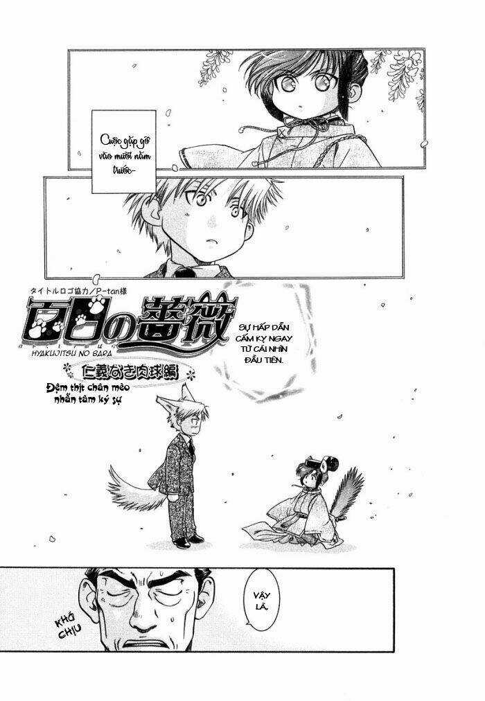 Maiden Rose - Chapter 5 - Trang 36