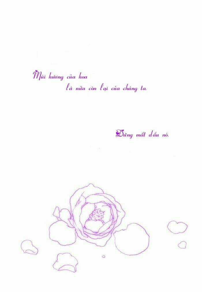 Maiden Rose - Chapter 7 - Trang 7