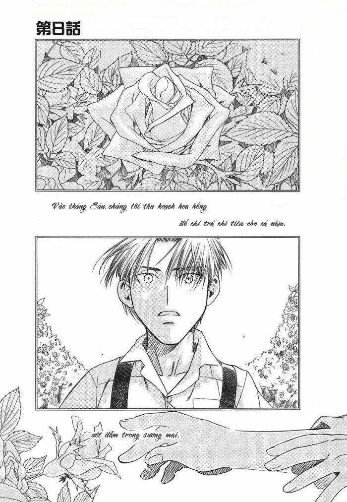 Maiden Rose - Chapter 8 - Trang 3