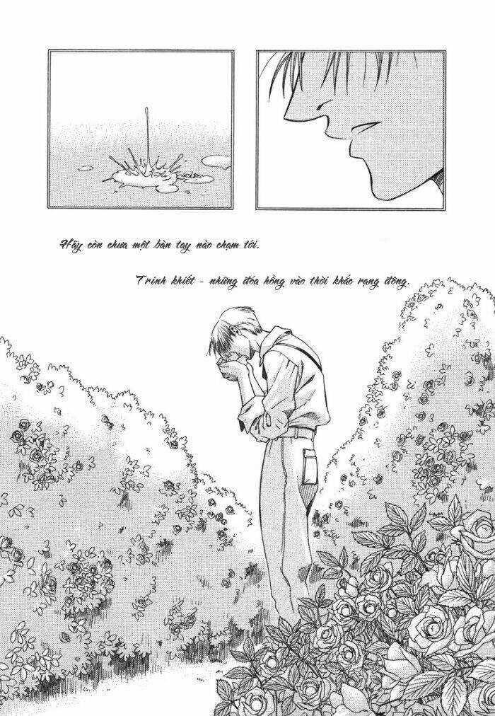 Maiden Rose - Chapter 8 - Trang 4