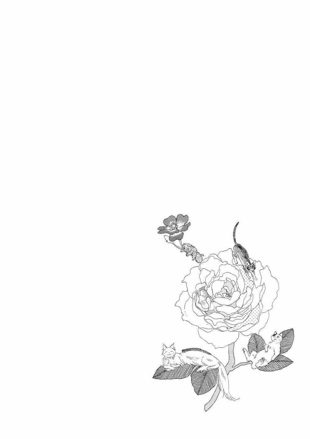 Majo To Neko No Hanashi - Chapter 1 - Trang 6