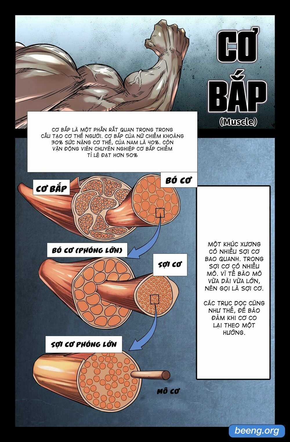 Mạnh Nhất Lịch Sử - Chapter 164 - Trang 5